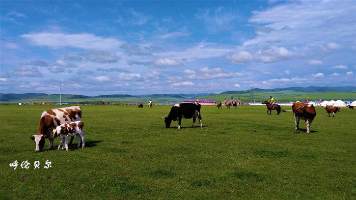呼伦贝尔,草原之心的壮丽世界探索之旅