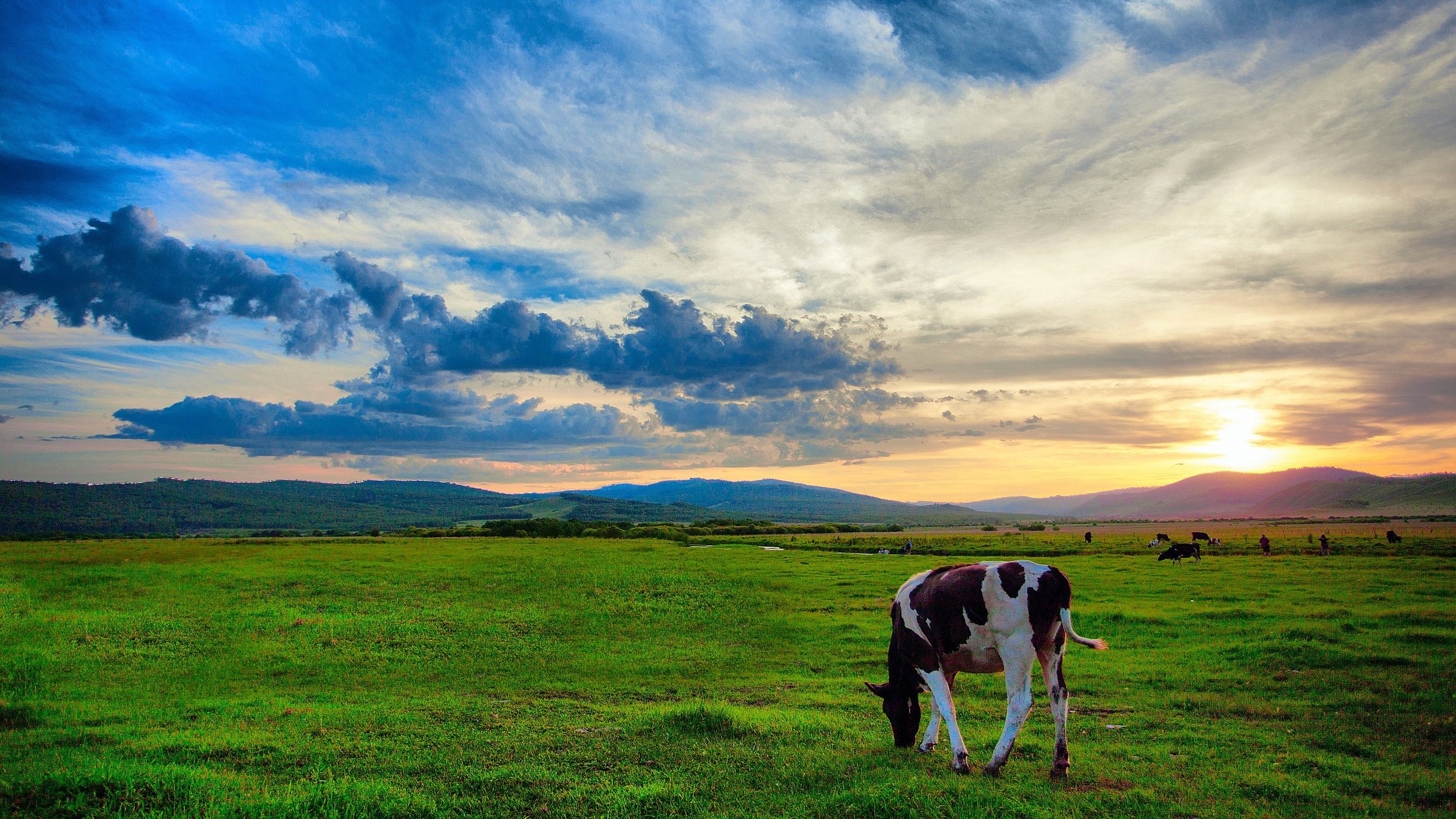 呼伦贝尔,草原之心的壮丽世界探索之旅