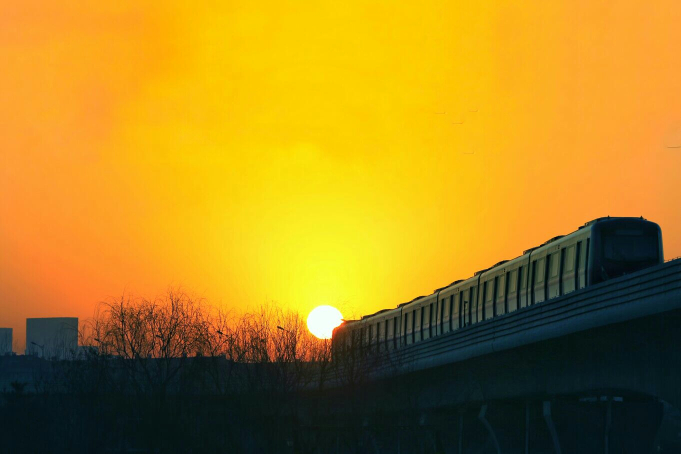 朝阳行动指南，掌握任务完成与技能学习之道